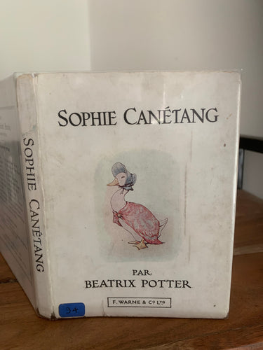 Histoire De Sophie Canetang