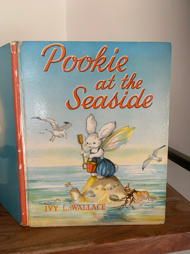 Pookie at the Seaside