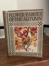Flower Fairies of the Autumn