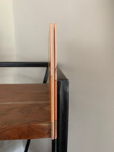 Paddington at the Zoo