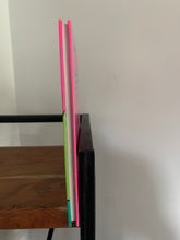 The Dinosaur's Packed Lunch