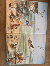 Pookie at the Seaside