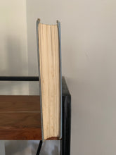 Two Waifs in Cloudland