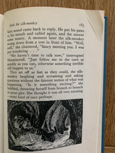 Comet in Moominland