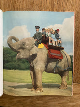 John and Jennifer At The Zoo