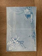 Flower Fairies of the Autumn