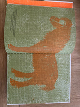 Black Dolly - the story of a junk cart pony