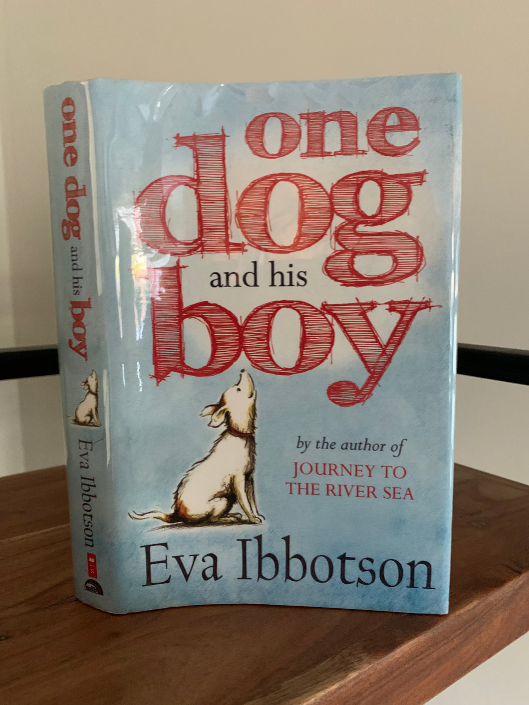One Dog and His Boy