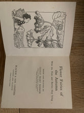 Flower Fairies of the Autumn