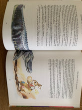 Enid Blyton's Brer Rabbit Book