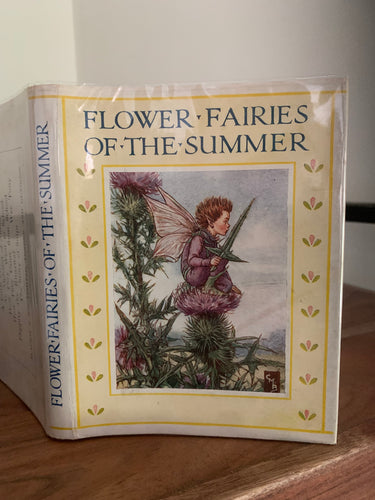 Flower Fairies of the Summer