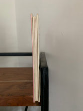 Noggin and the Dragon