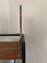 Melric and the Dragon