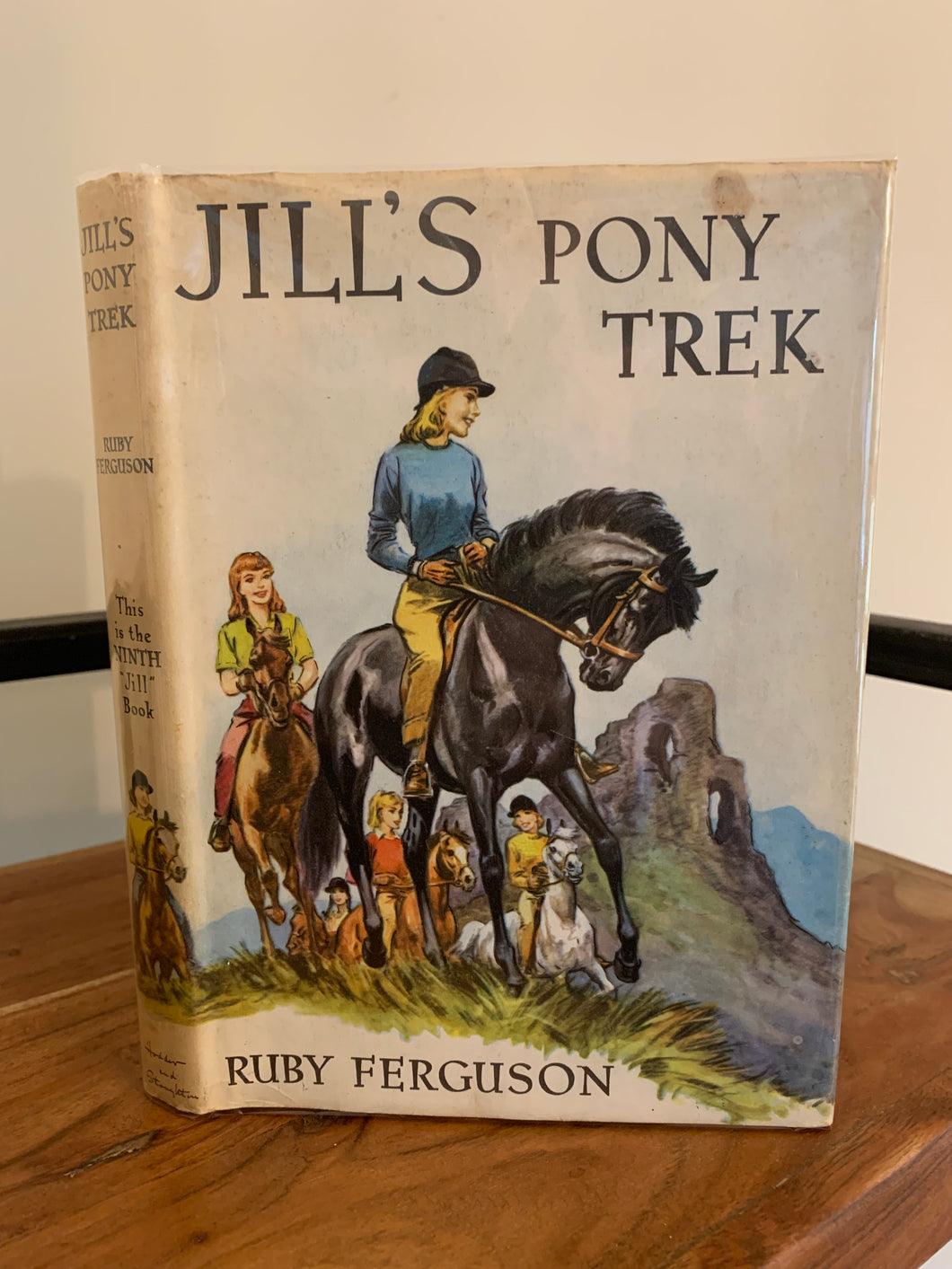 Jill's Pony Trek