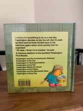 Paddington's Busy Day