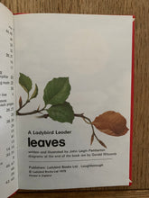 Ladybird Leaders - Leaves