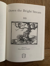 Down The Bright Stream