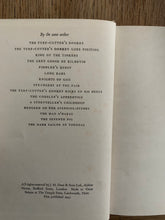 The Boy At The Swinging Gate