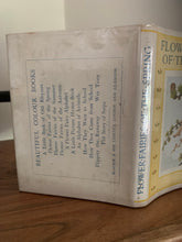 Flower Fairies of the Spring