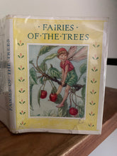 Fairies of the Trees
