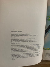 Asterix and the Cauldron