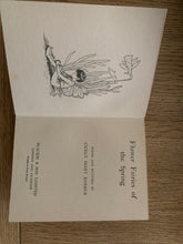 Flower Fairies of the Spring