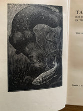 Tarka the Otter