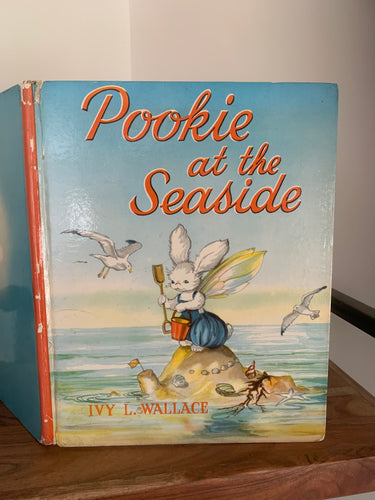 Pookie at the Seaside