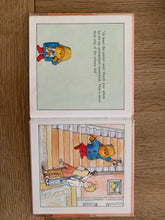 Paddington at the Zoo