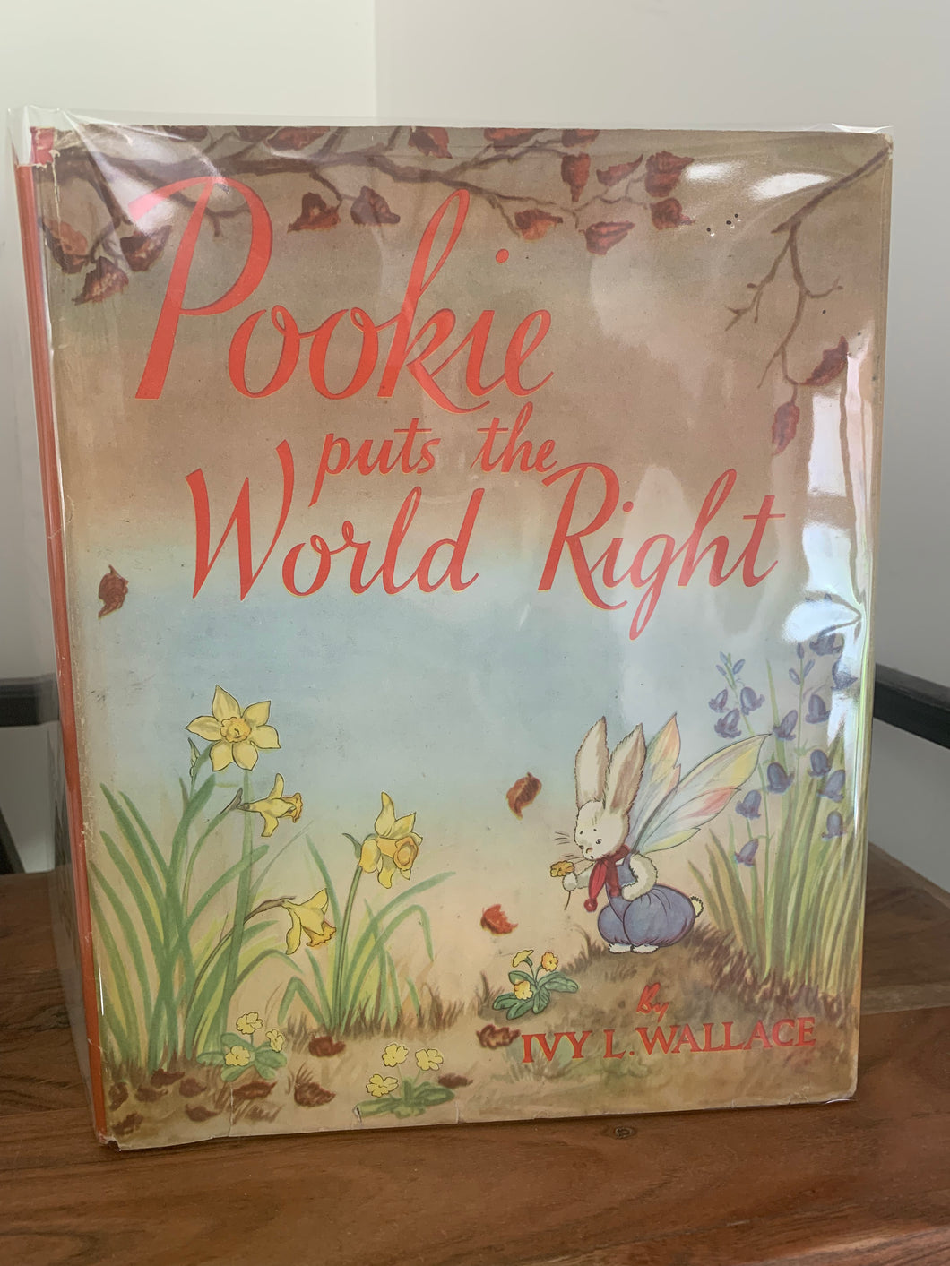 Pookie puts the World Right