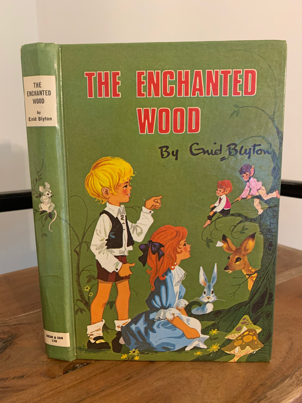 The Enchanted Wood