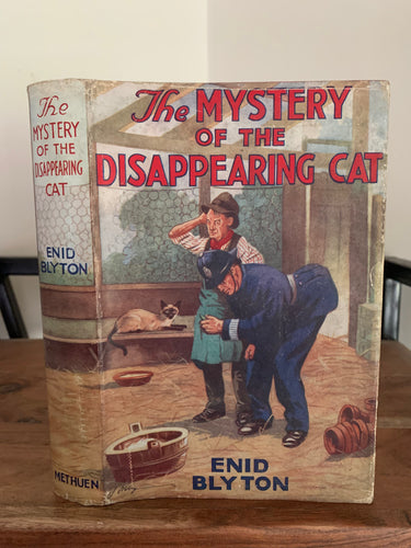 The Mystery of the Disappearing Cat