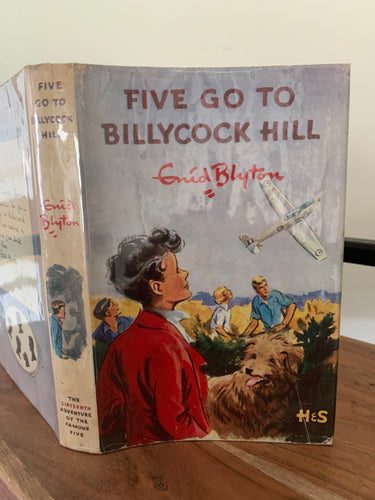 Five Go To Billycock Hill