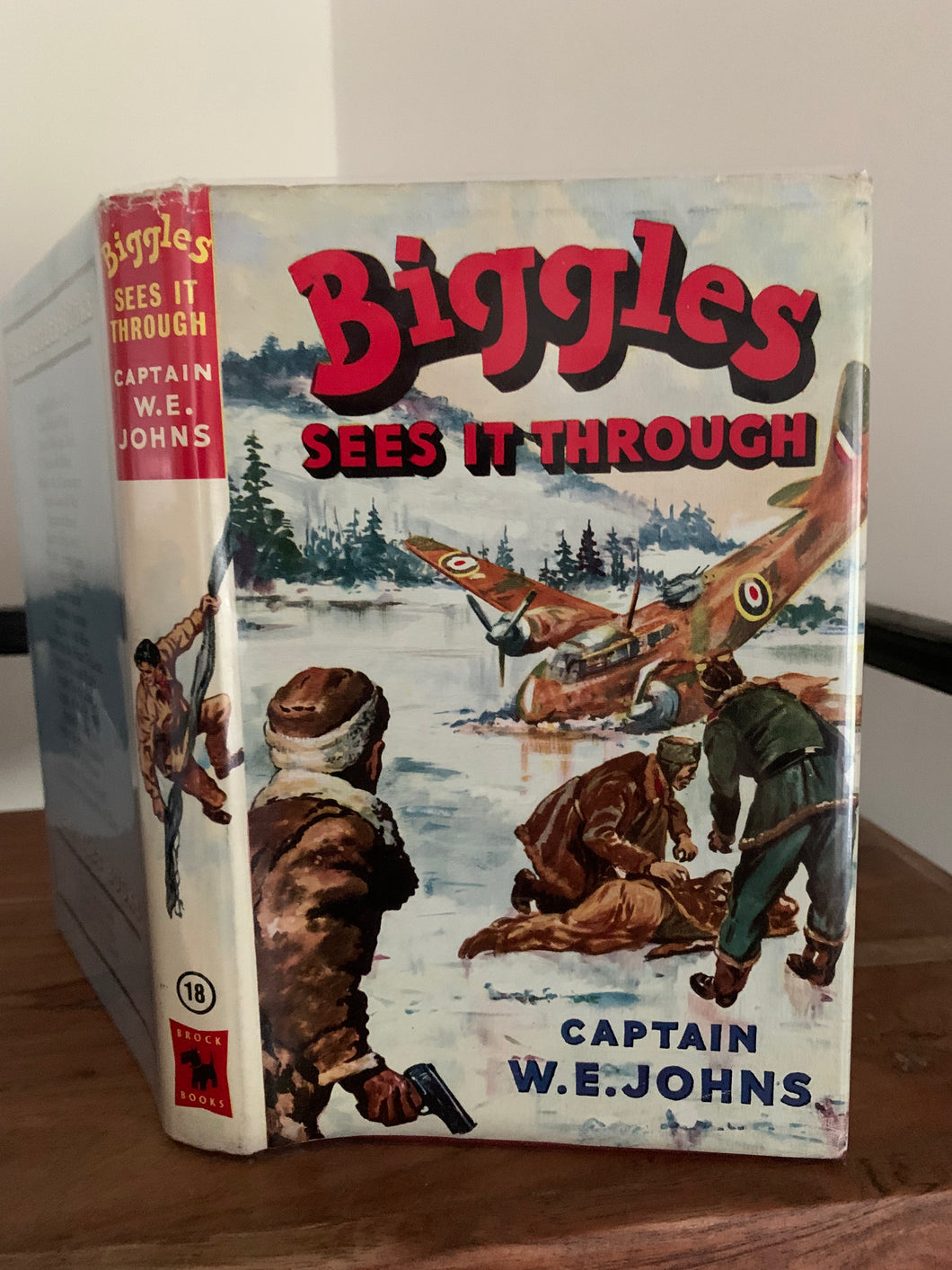 Biggles Sees it Through