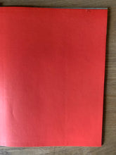 The Owl and the Woodpecker