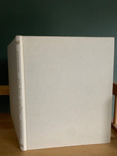 Good Faeries Bad Faeries