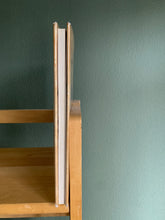 Good Faeries Bad Faeries