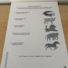 The Artist Who Painted A Blue Horse