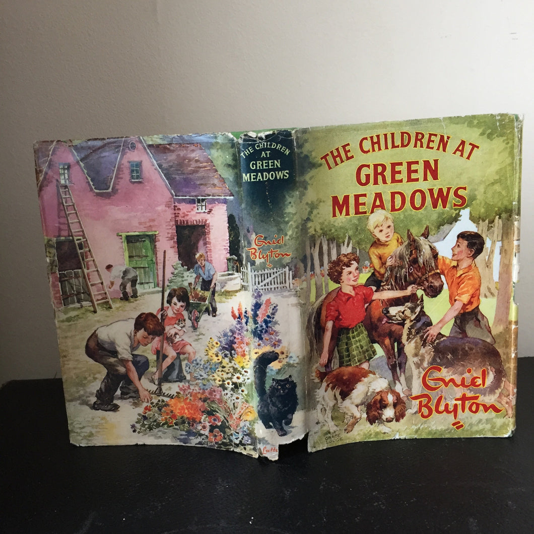 The Children At Green Meadows