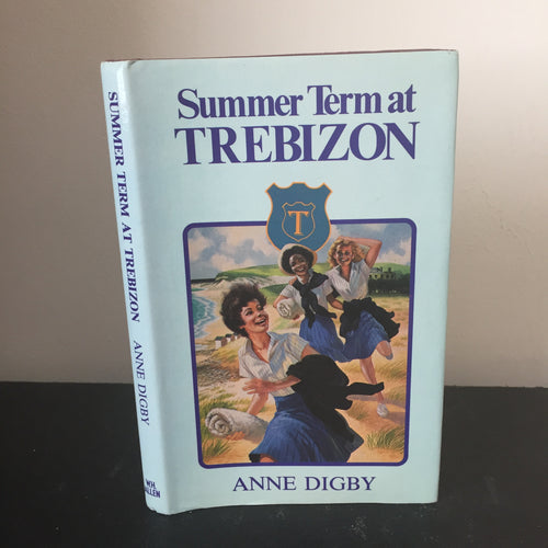 Summer Term at Trebizon