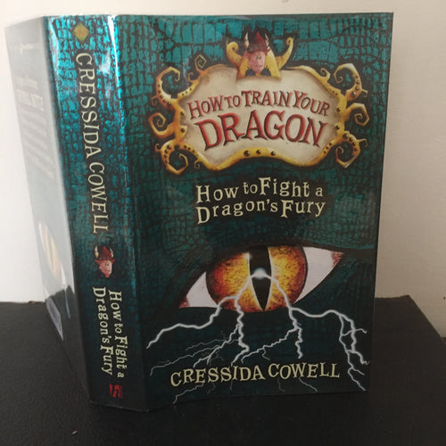 How To Fight a Dragons Fury