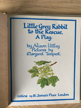 Little Grey Rabbit To The Rescue