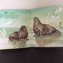 ABC of Nature - A Dean Gold Medal Book