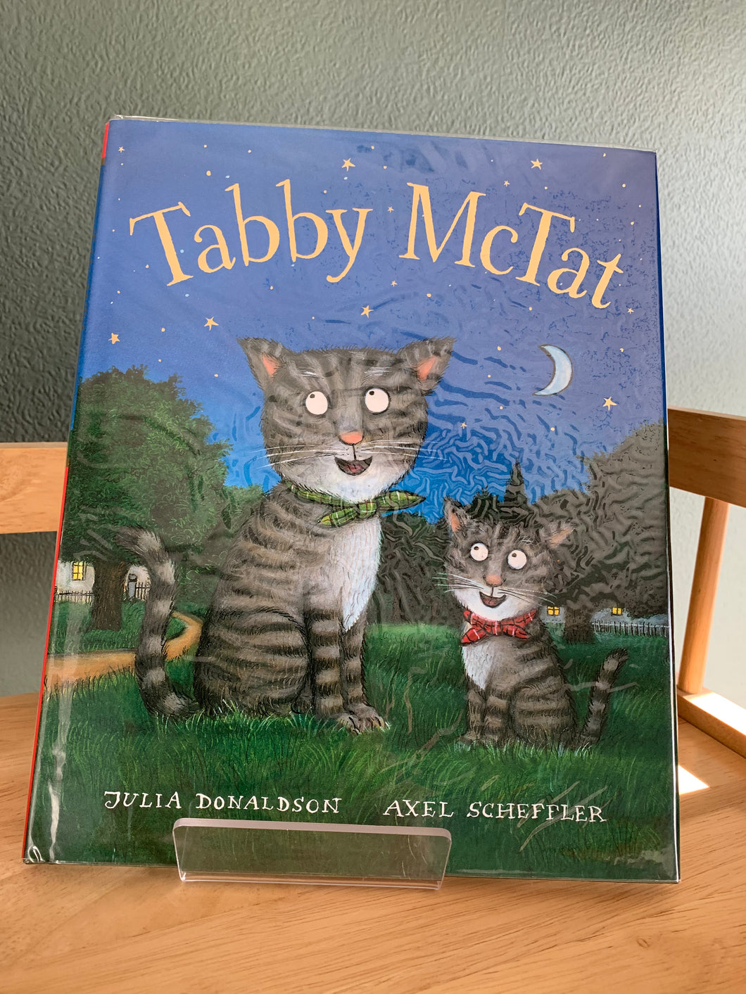 Tabby McTat