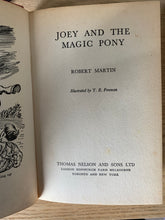 Joey and the Magic Pony