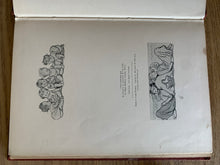 Ameliaranne At The Seaside