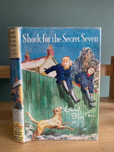 Shock For The Secret Seven