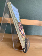 The Borrowers Afield