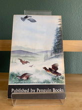 Snow Cloud, Stallion