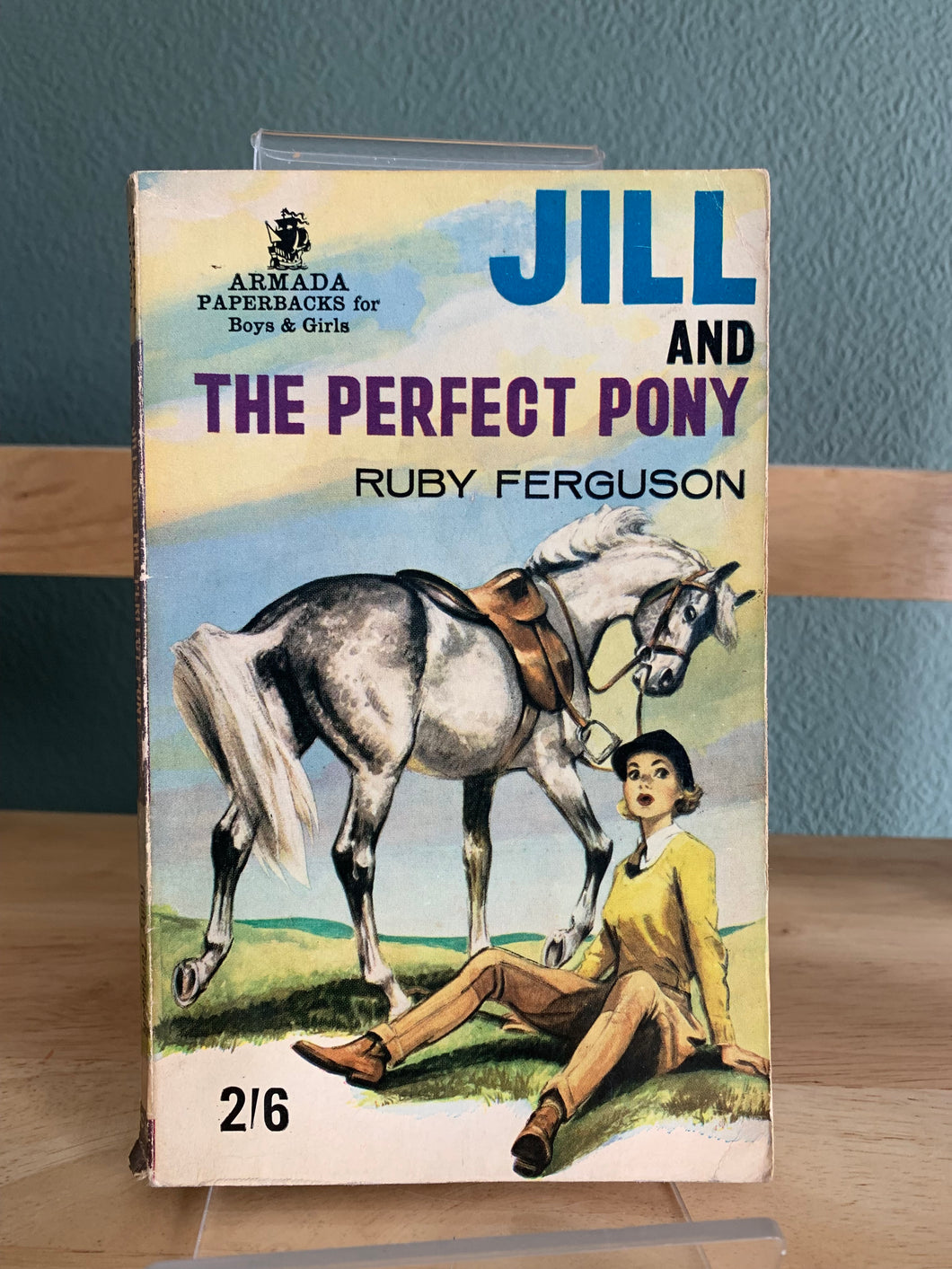 Jill and the Perfect Pony